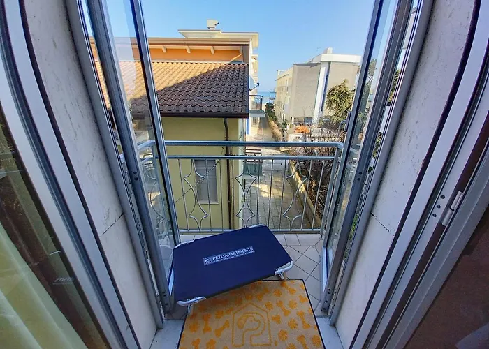 Petlyapartments