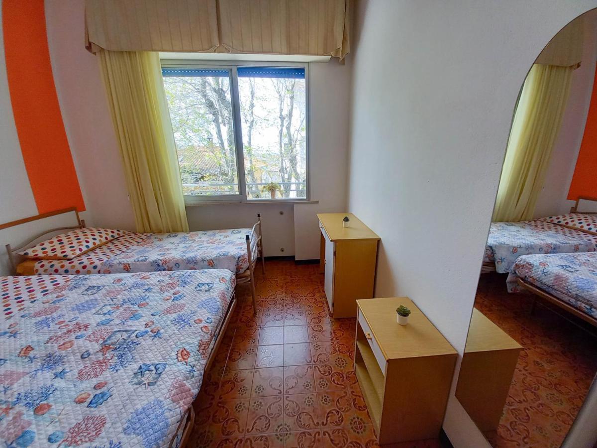 Petlyapartments