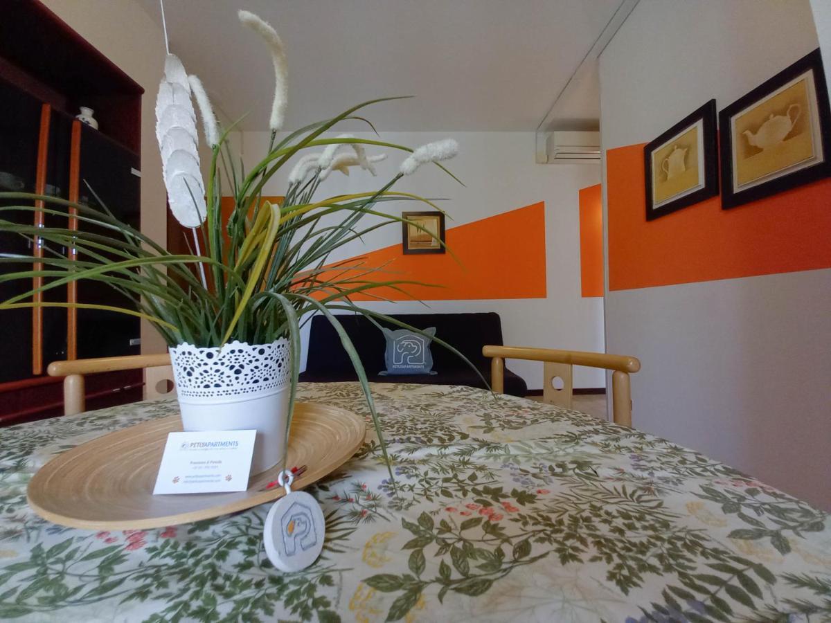 Petlyapartments * Bellaria-Igea Marina