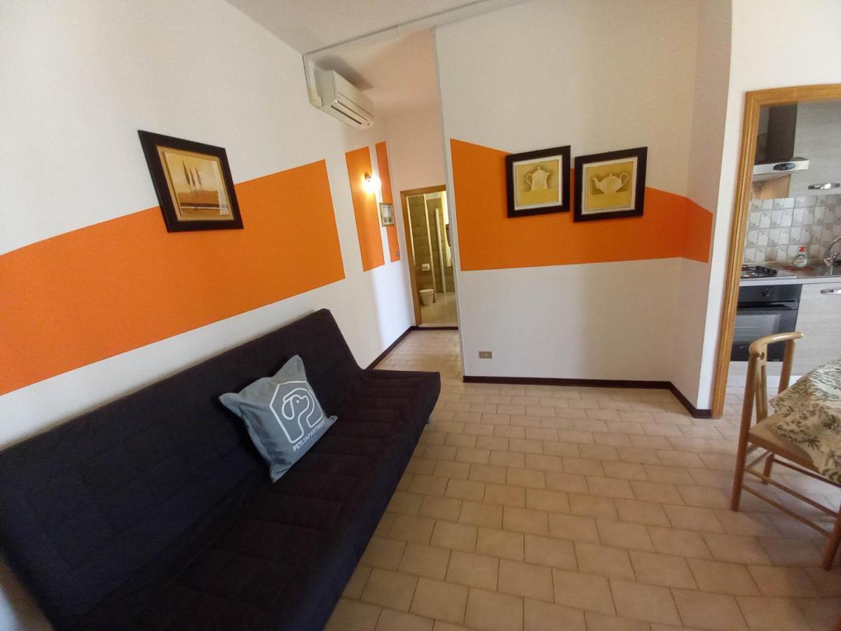 Petlyapartments *
