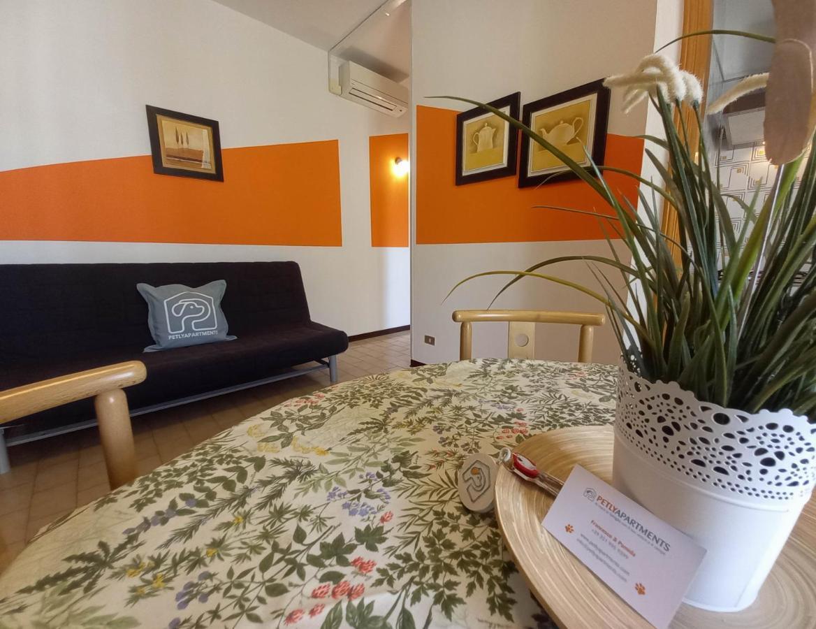 Petlyapartments *